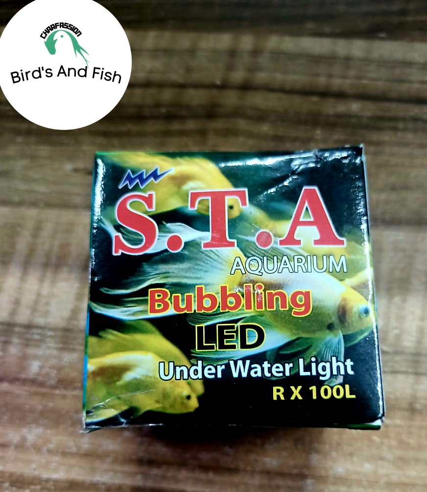 এল ই ডি লাইট 1 কালার