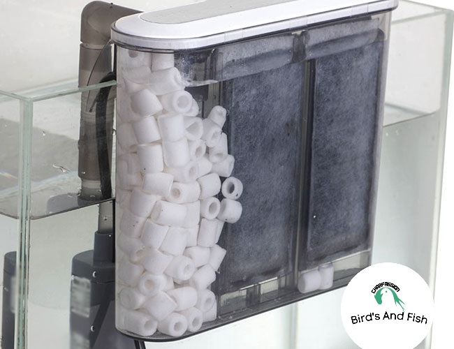 সাদা সিরামিক রিং