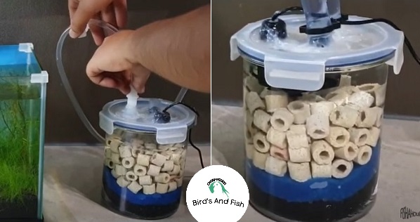 সাদা সিরামিক রিং_img_1