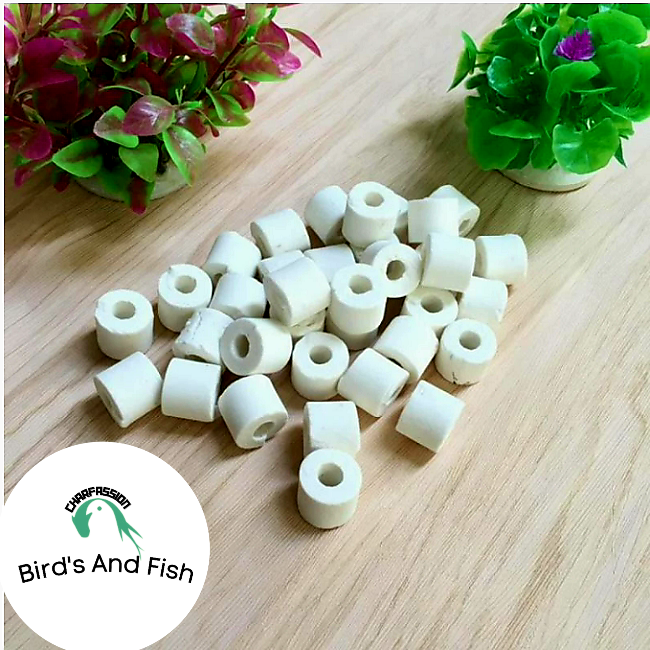 সাদা সিরামিক রিং_img_2