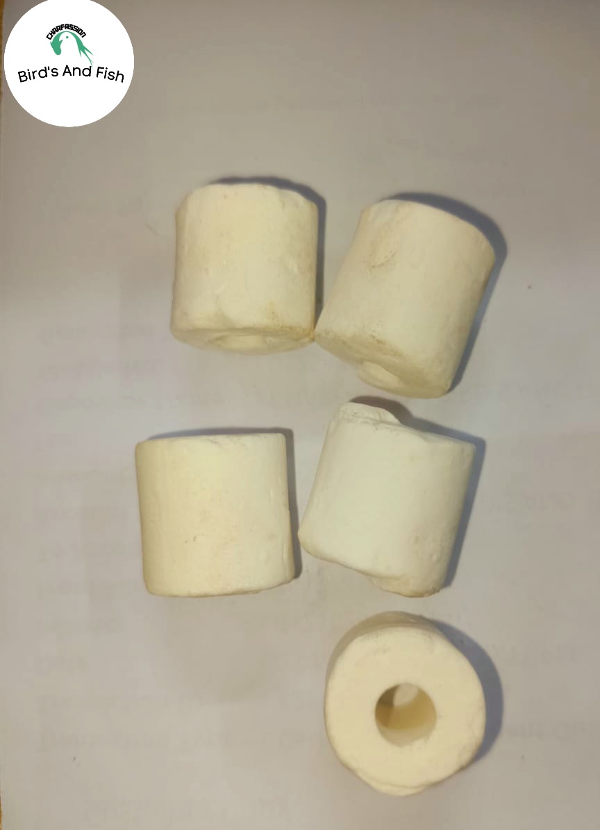 সাদা সিরামিক রিং_img_5