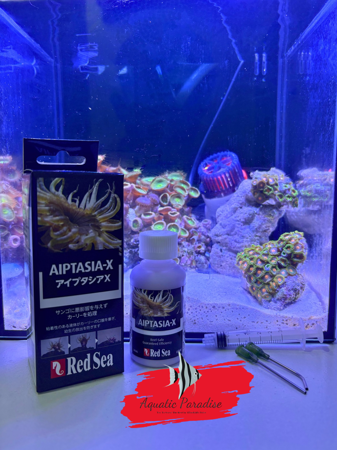 Red Sea Aiptasia-X – 60 mL