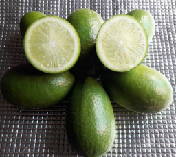 লেবু – Lemon (লেমন) - Image 1