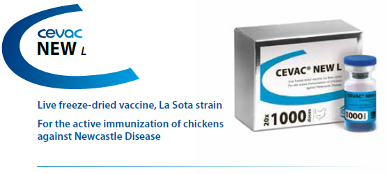 new L / La sota live vaccine