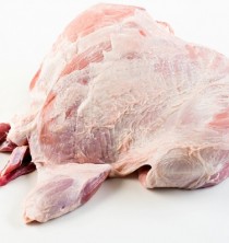 Organic Camel hump._img_1