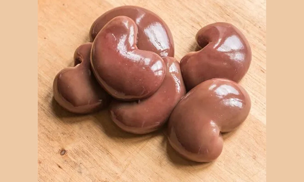 Organic lamb or goat kidney / Gurday.