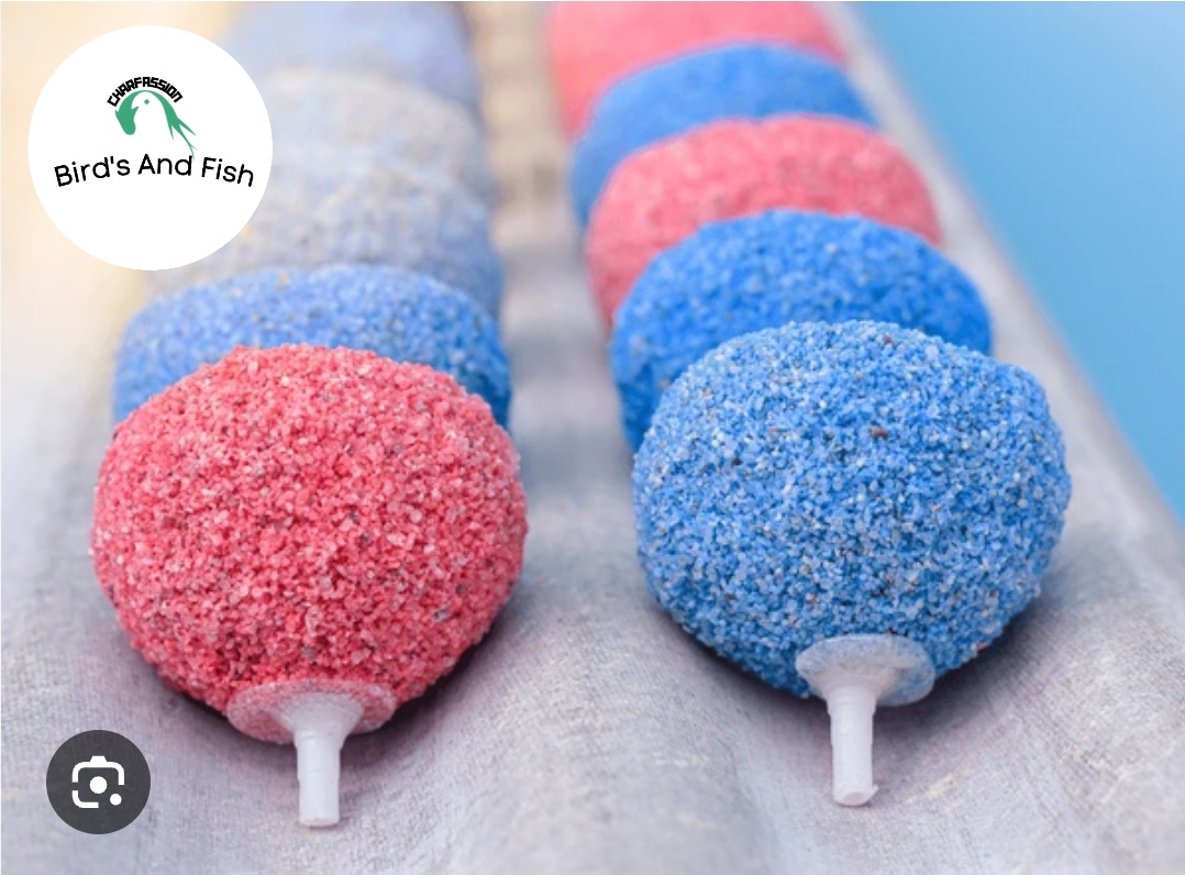 ঝর্না বল মিডিয়াম