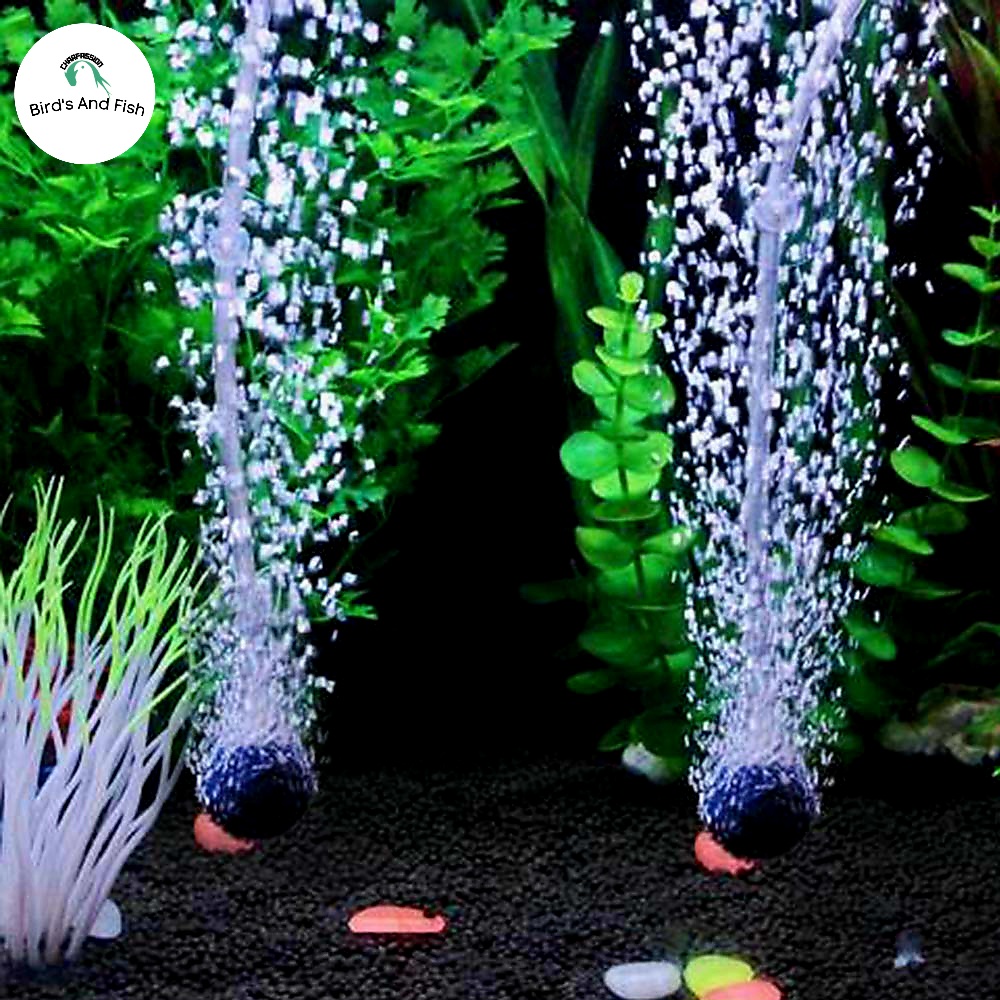 ঝর্না বল মিডিয়াম_img_3