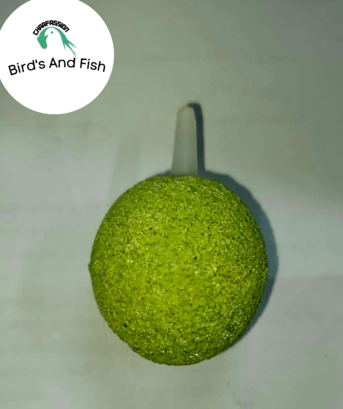 ঝর্না বল মিডিয়াম_img_4