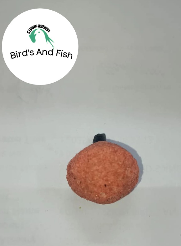 ঝর্না বল ছোট_img_4