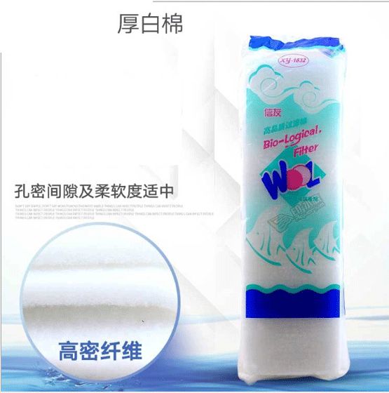 কঠন একুরিয়াম