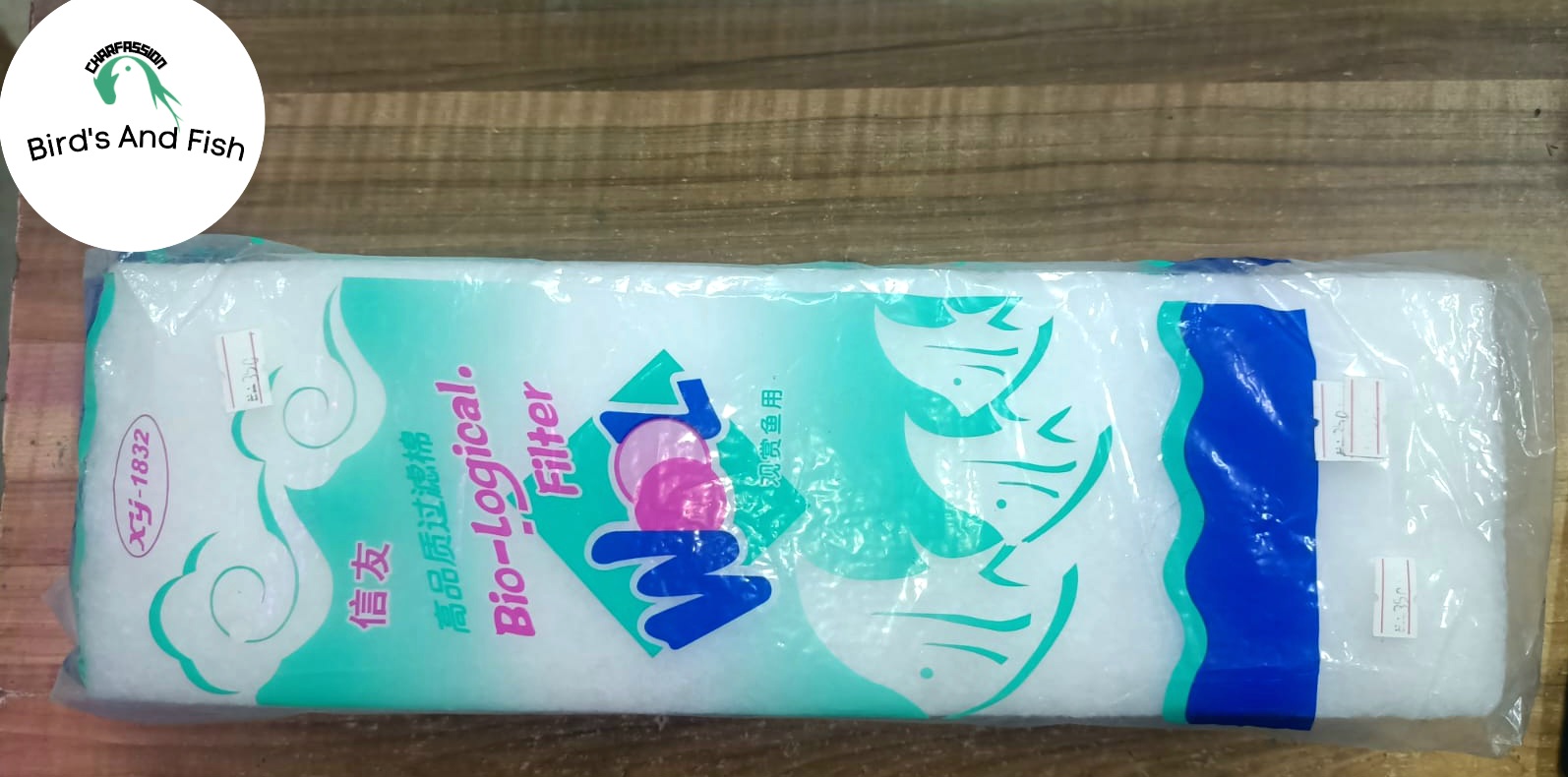 কঠন একুরিয়াম_img_2