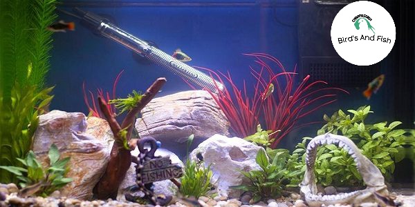 হিটার 200w