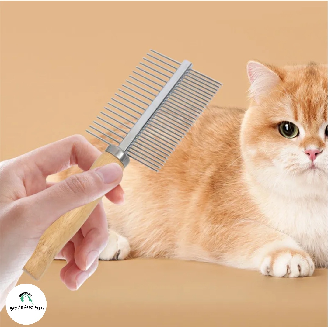 ক্যাট ২ সাইড ব্রাশ_img_2