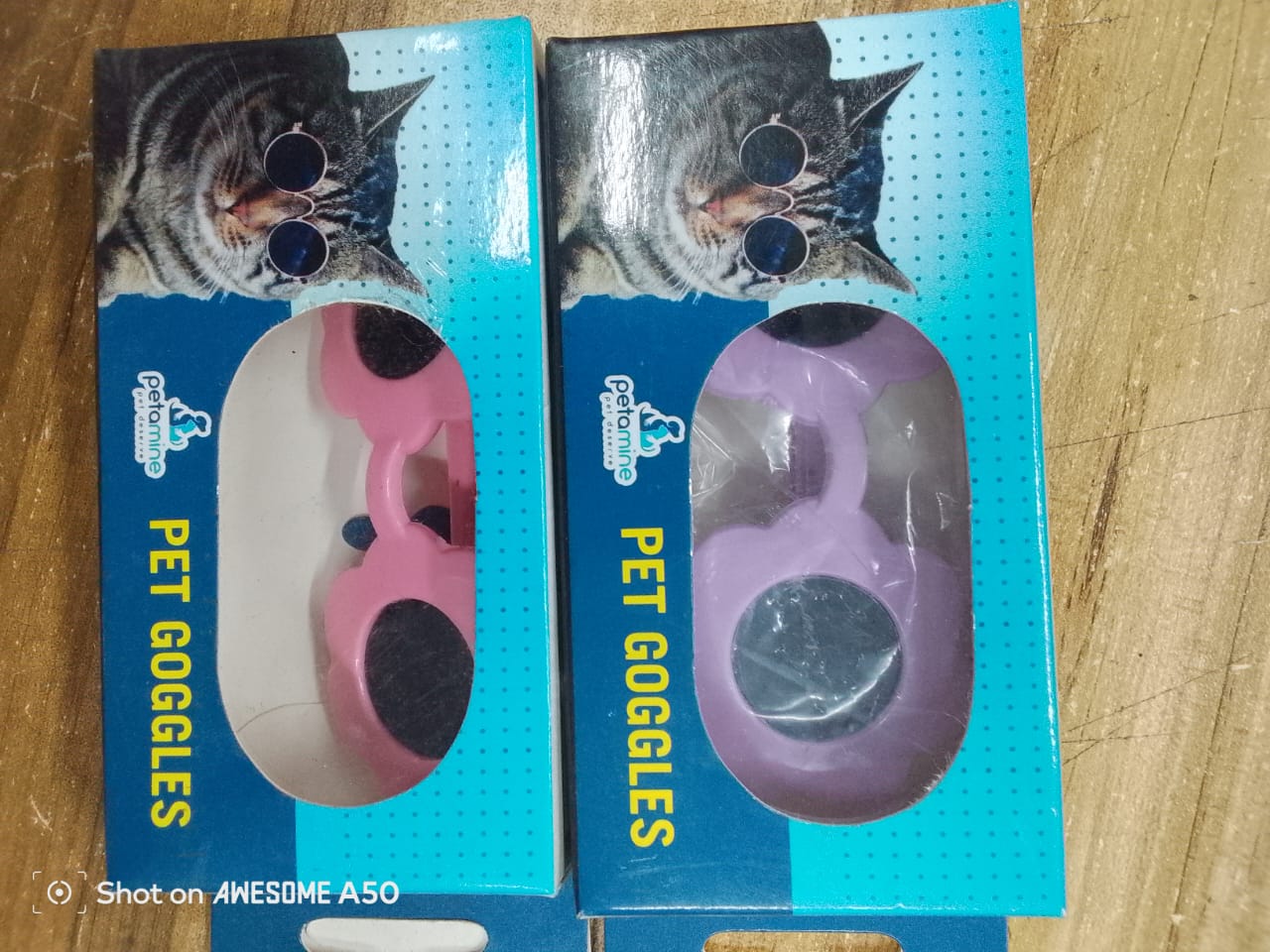 ক্যাট সান গ্লাস_img_3