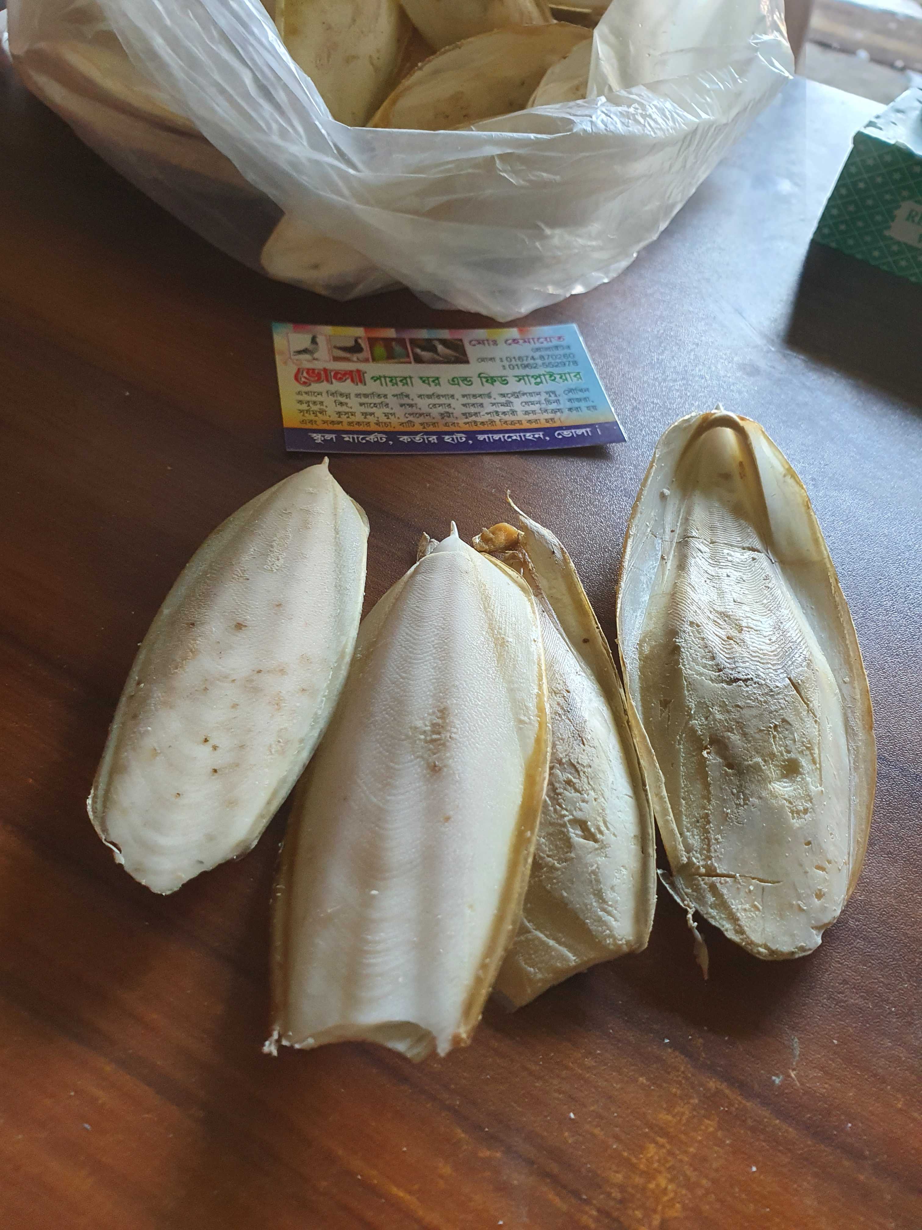 ফেনা, সামুদ্রিক ফেনা ছোট/বড়_img_2