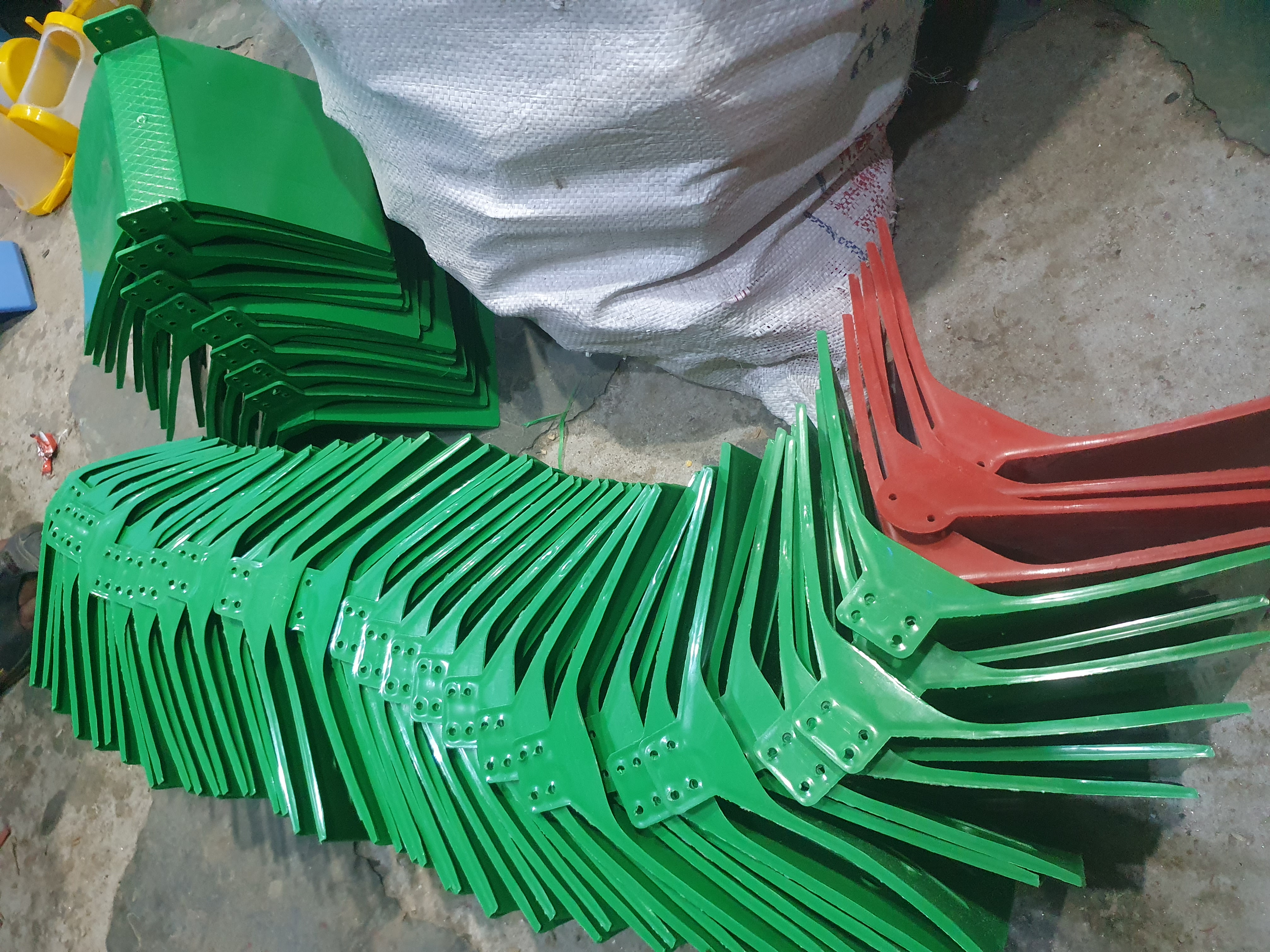 পিজন স্টার্ন নরমাল_img_4