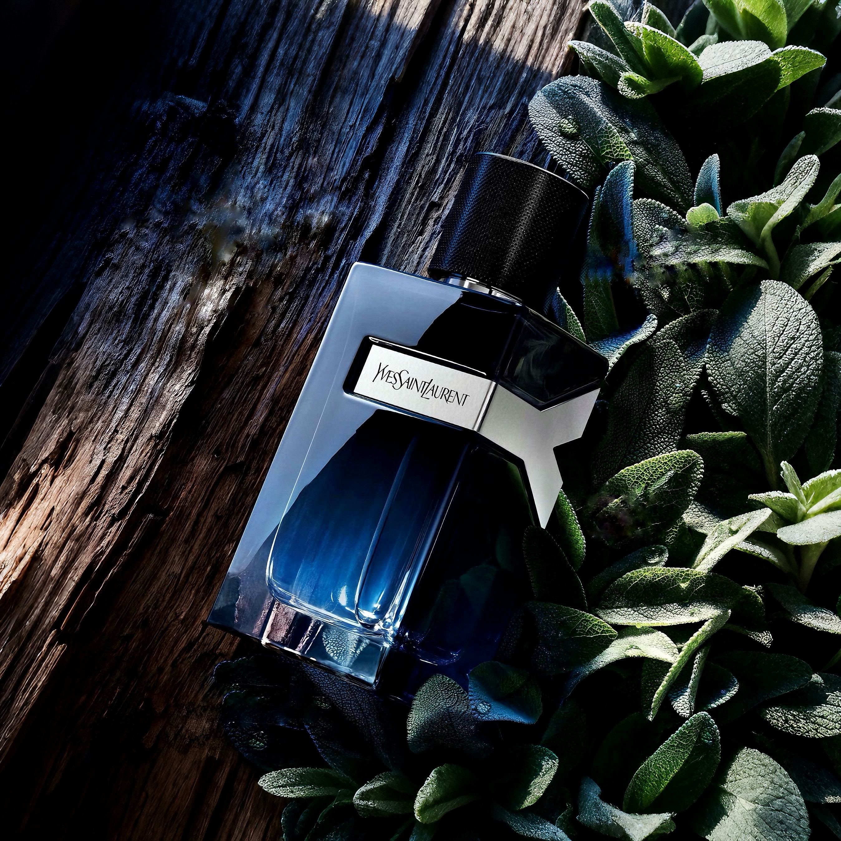 YSL Y Yves Saint Laurent Y Eau De Parfum_img_0