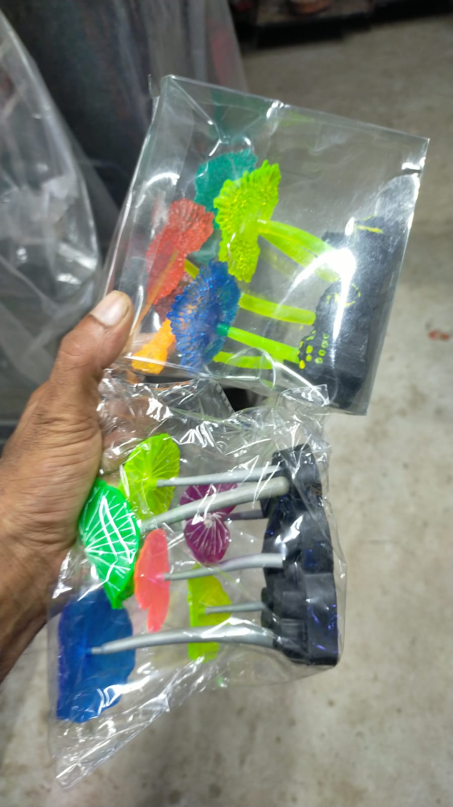 রয়েল জেলি_img_1