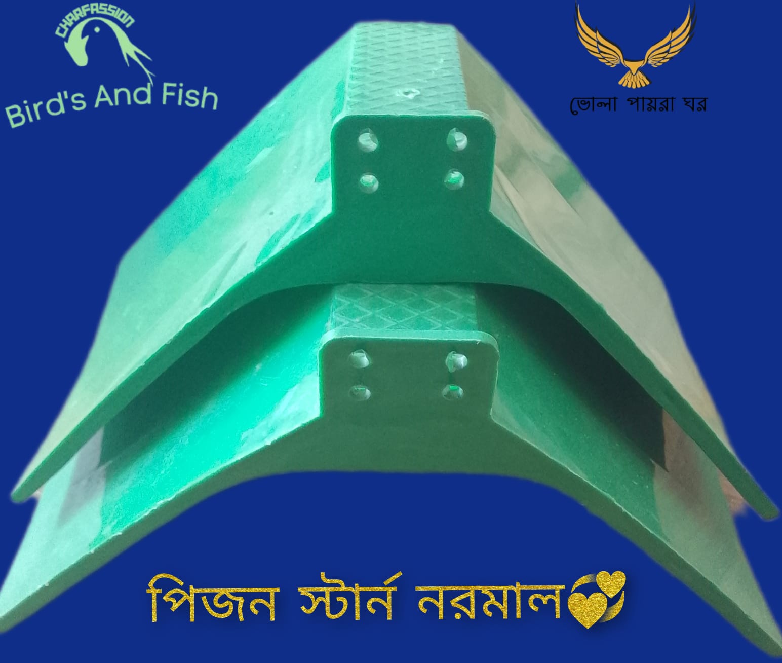 পিজন স্টার্ন নরমাল