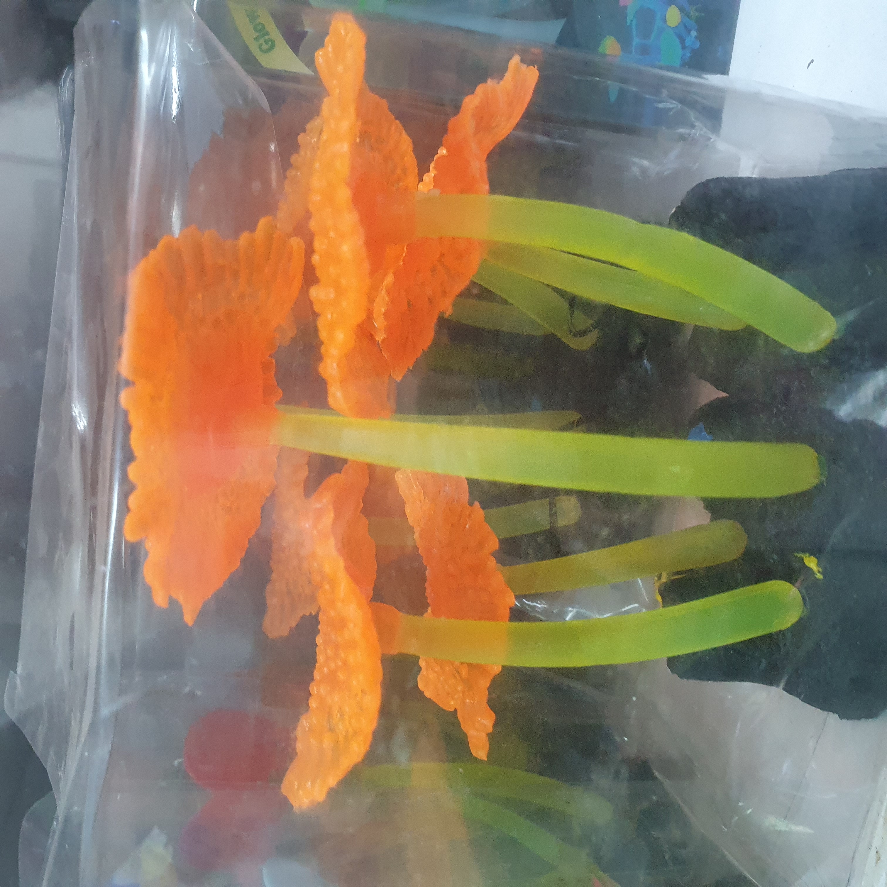 জেলি ইয়েলো কালার বক্স