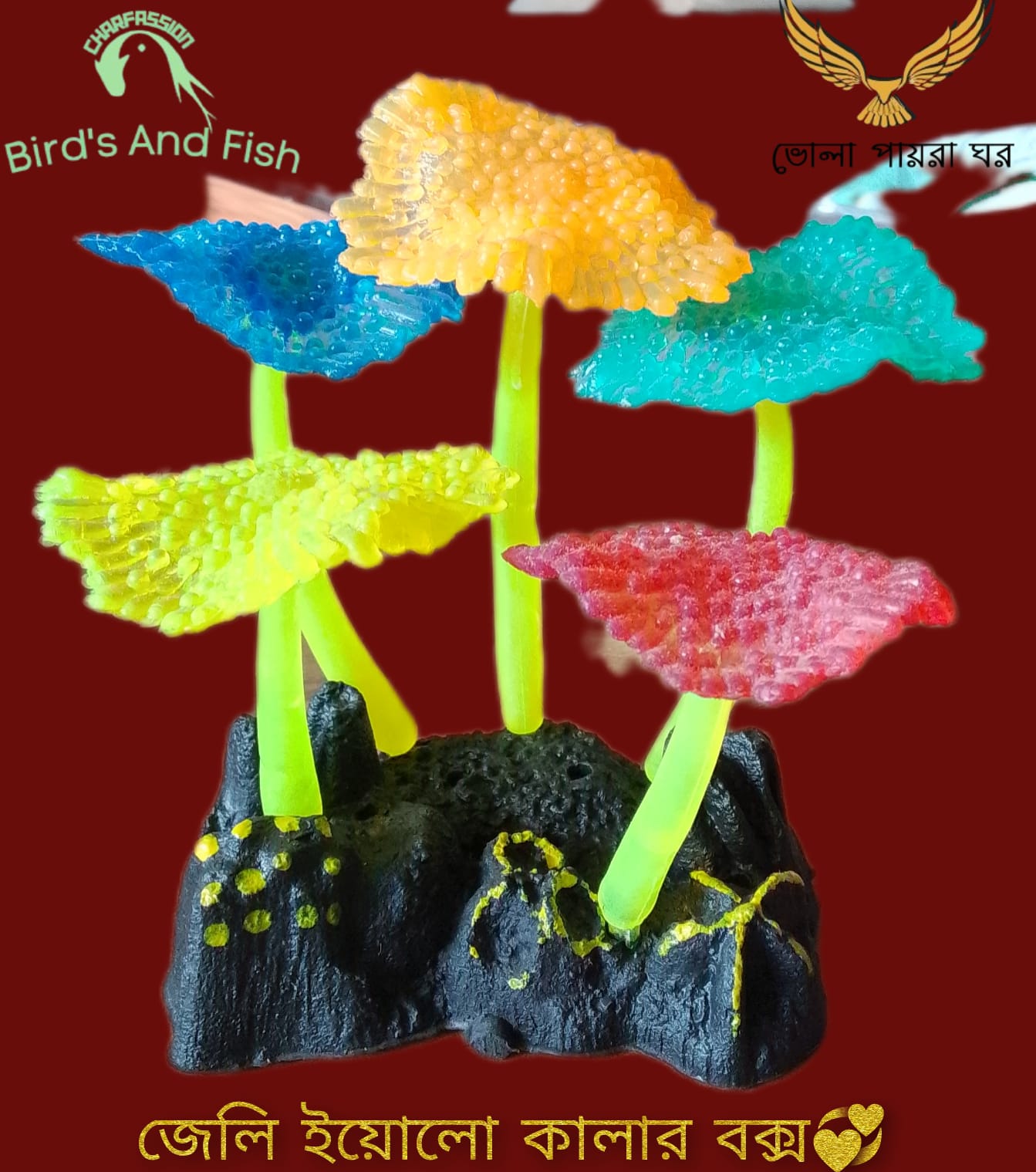 জেলি ইয়েলো কালার বক্স_img_3