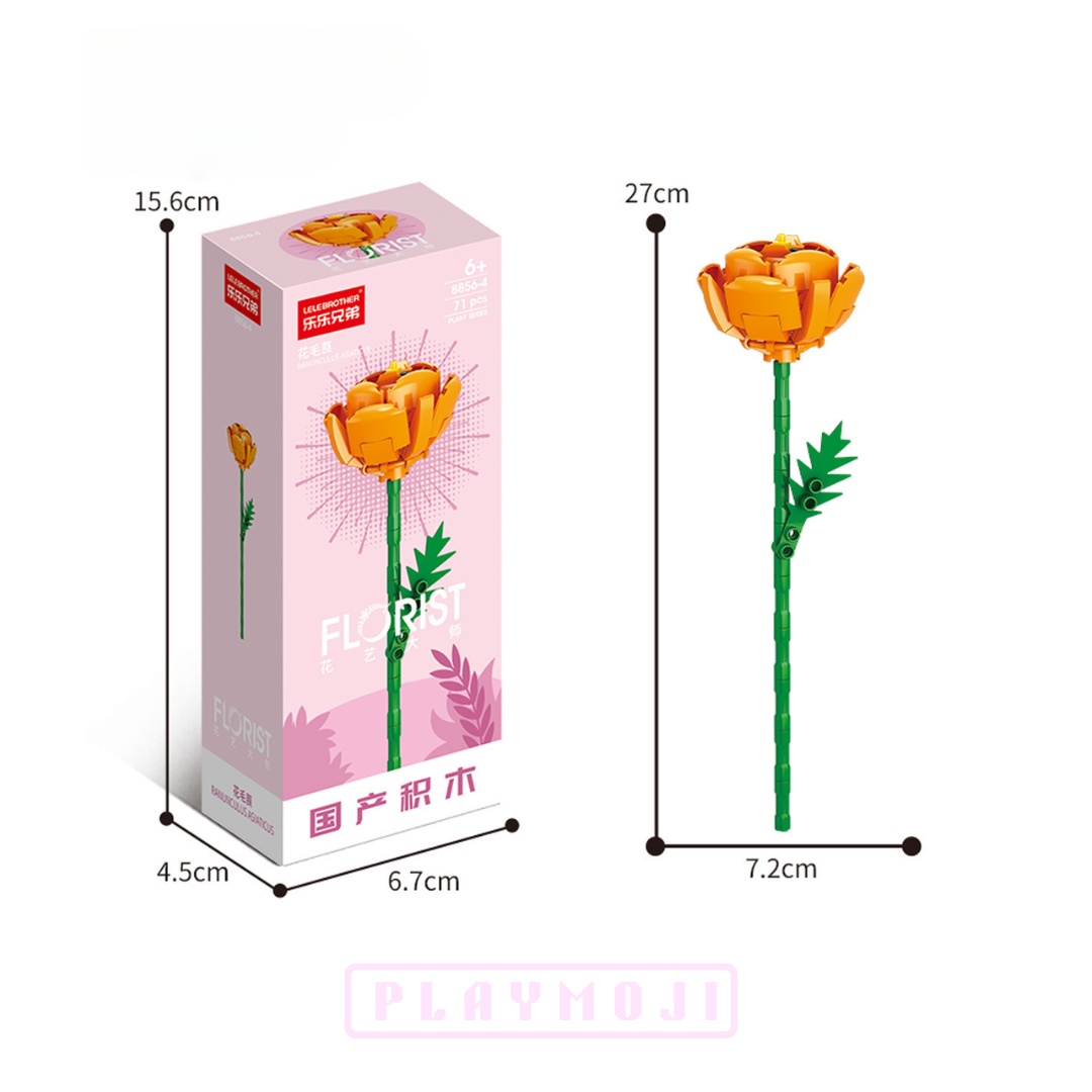 Ranunculus Flower