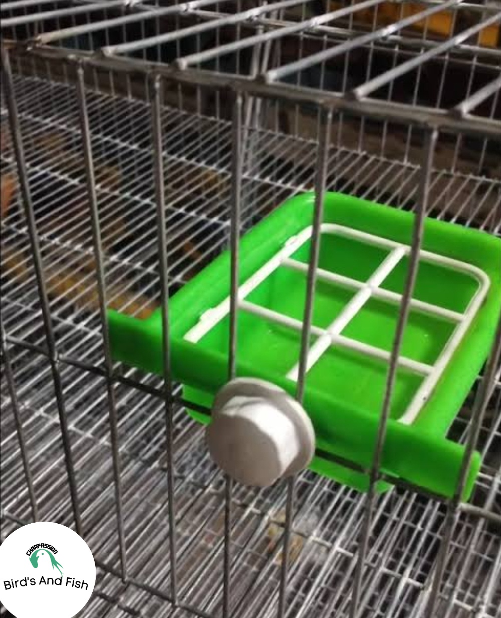 স্কায়ার নাট সিষ্টেম বাটি_img_2