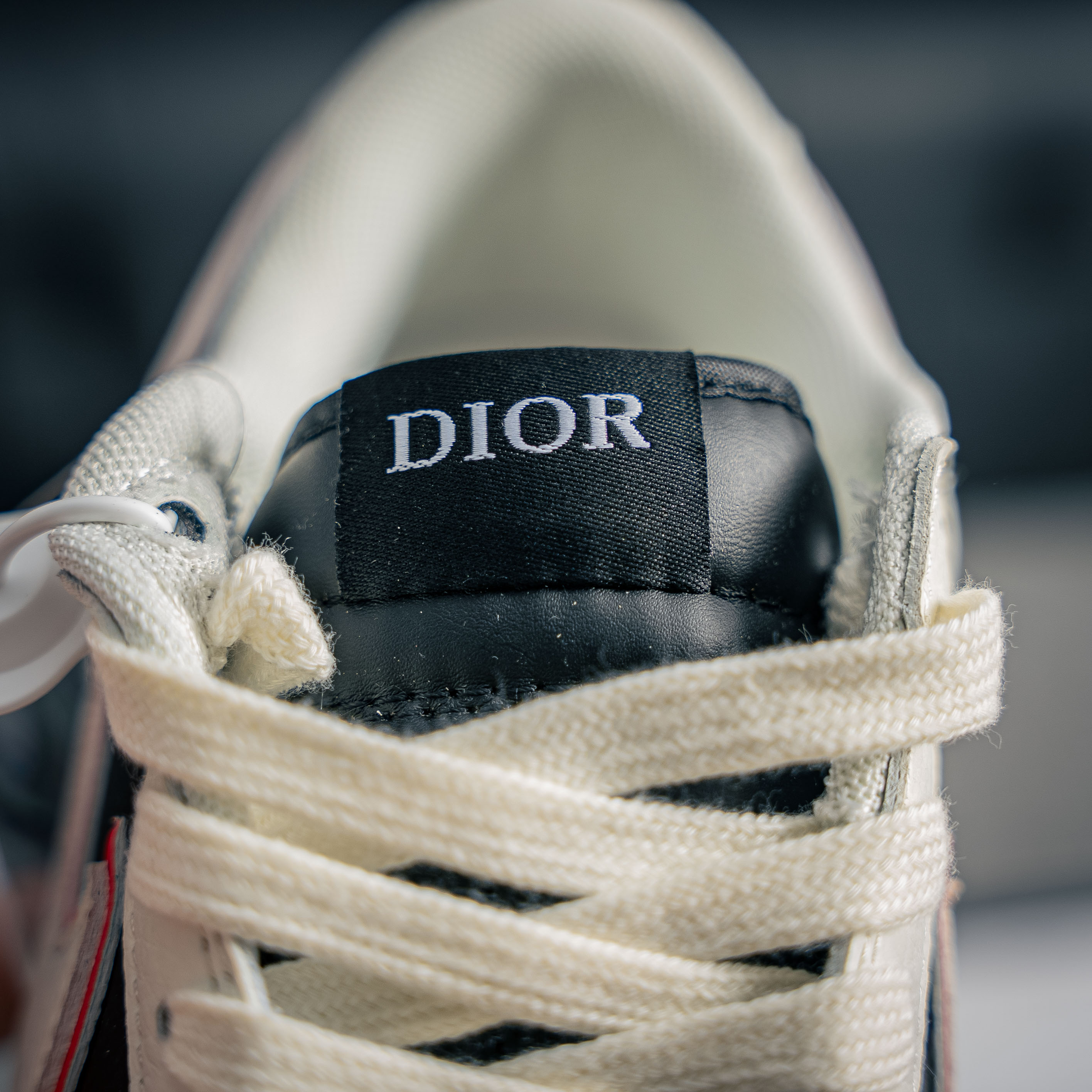 Nike Dunk Low x Dior (1:1)_img_5