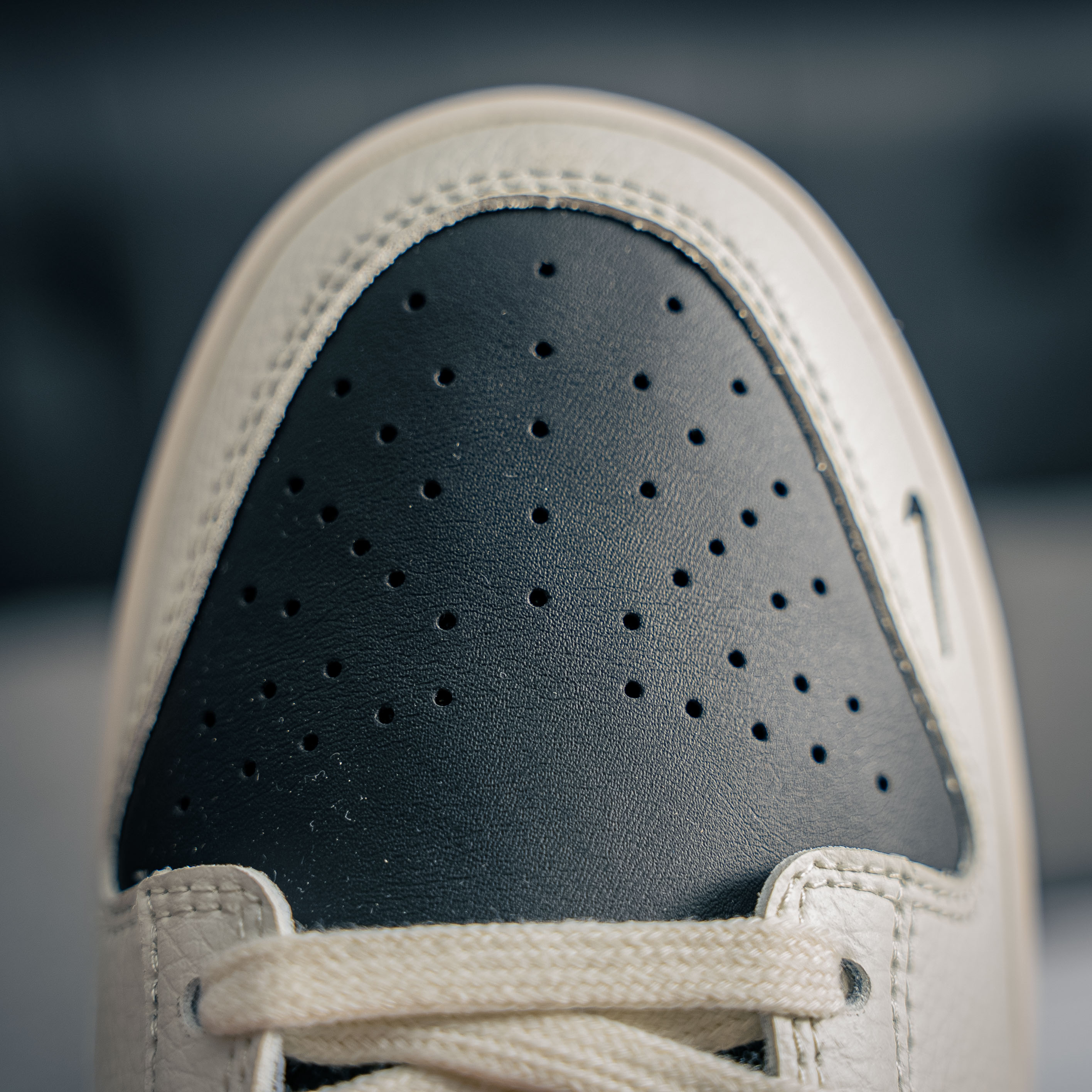 Nike Dunk Low x Dior (1:1)_img_6