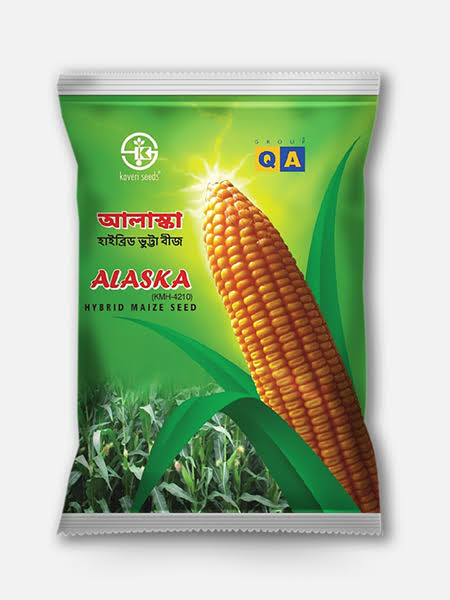 হাইব্রিড ভুট্টা আলাস্কা।   Hybrid Maize Alaska_img_0