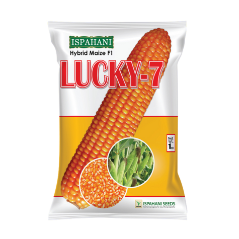 হাইব্রিড ভুট্টা লাকি সেভেন ৭ । Hybrid Maize Lucky 7