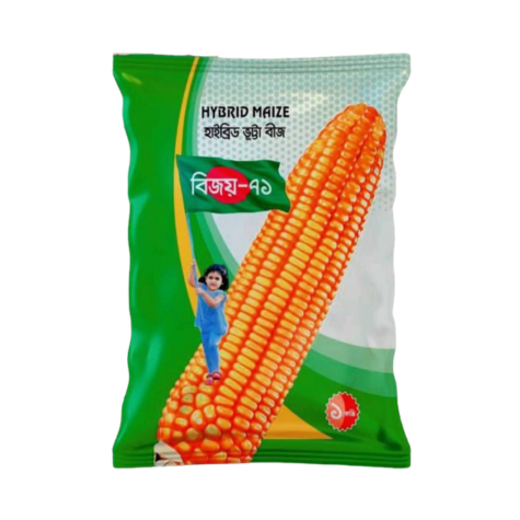 হাইব্রিড ভুট্টা বিজয় ৭১  ।  Hybrid  Maize Bijoy 71_img_0