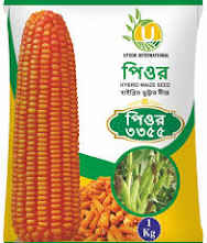 হাইব্রিড ভুট্টার বীজ পিওর ৩৩৫৫ । Hybrid corn seed pure  3355_img_0