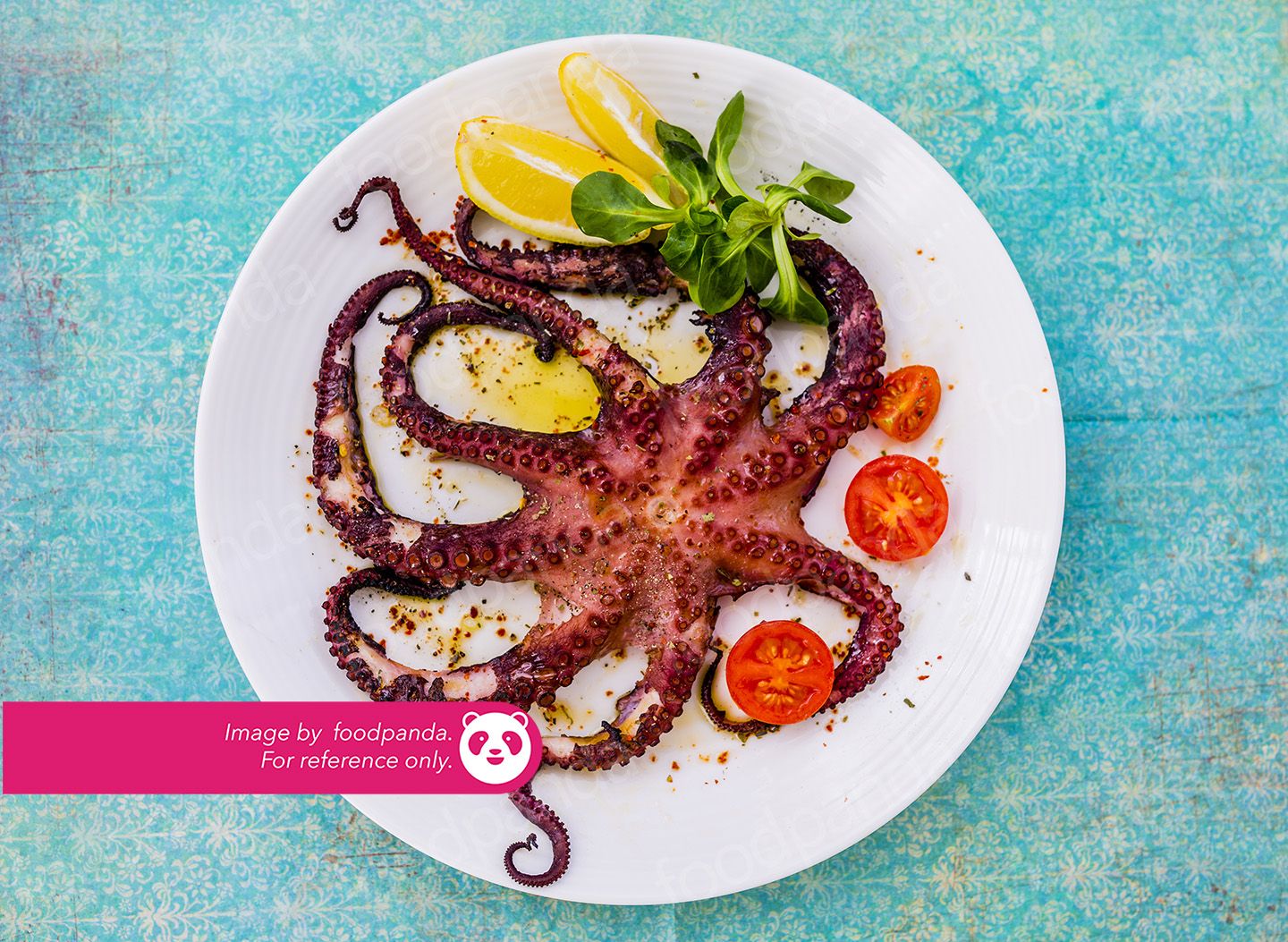 কিং অক্টোপাস 🐙