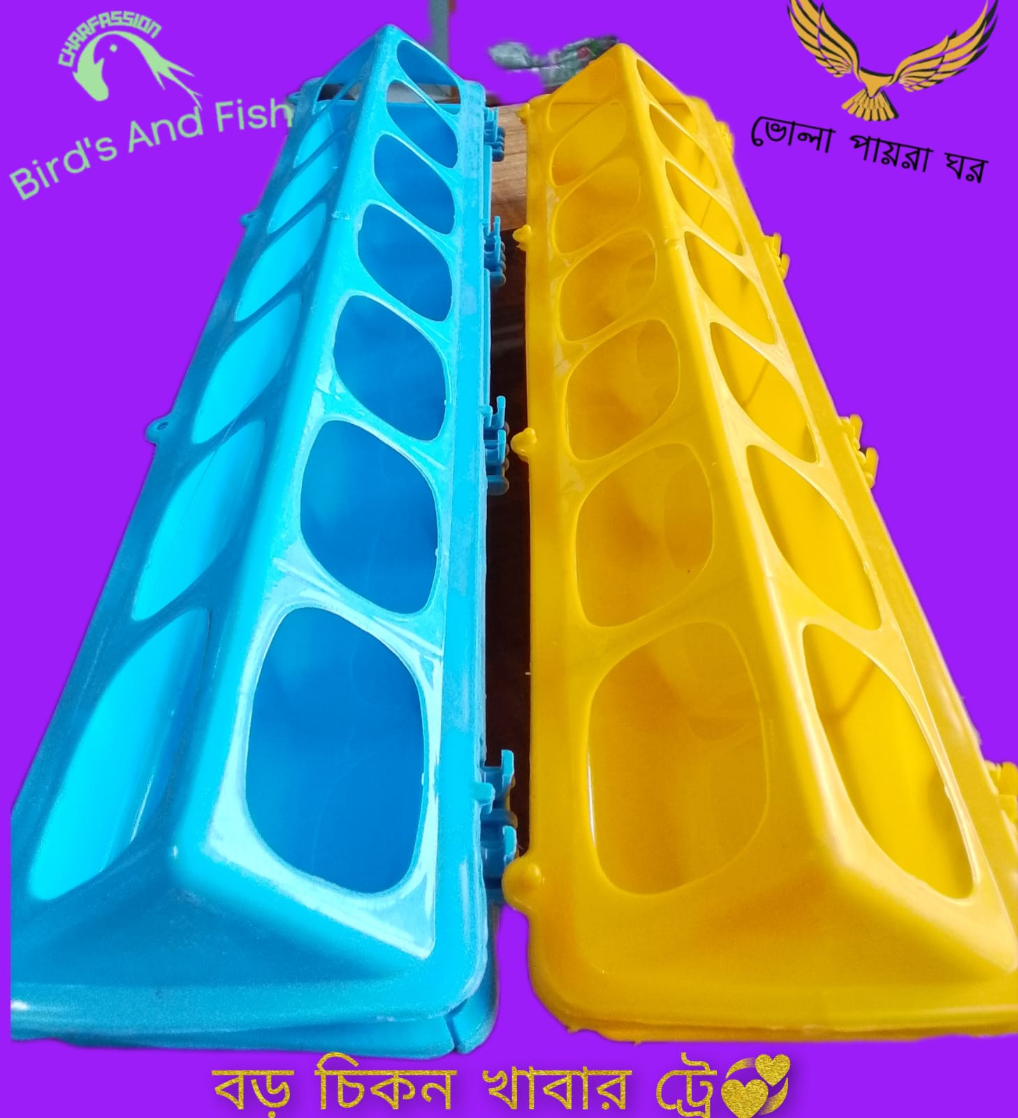 চিকন খাবার ট্রে বড় কবুতরের_img_4