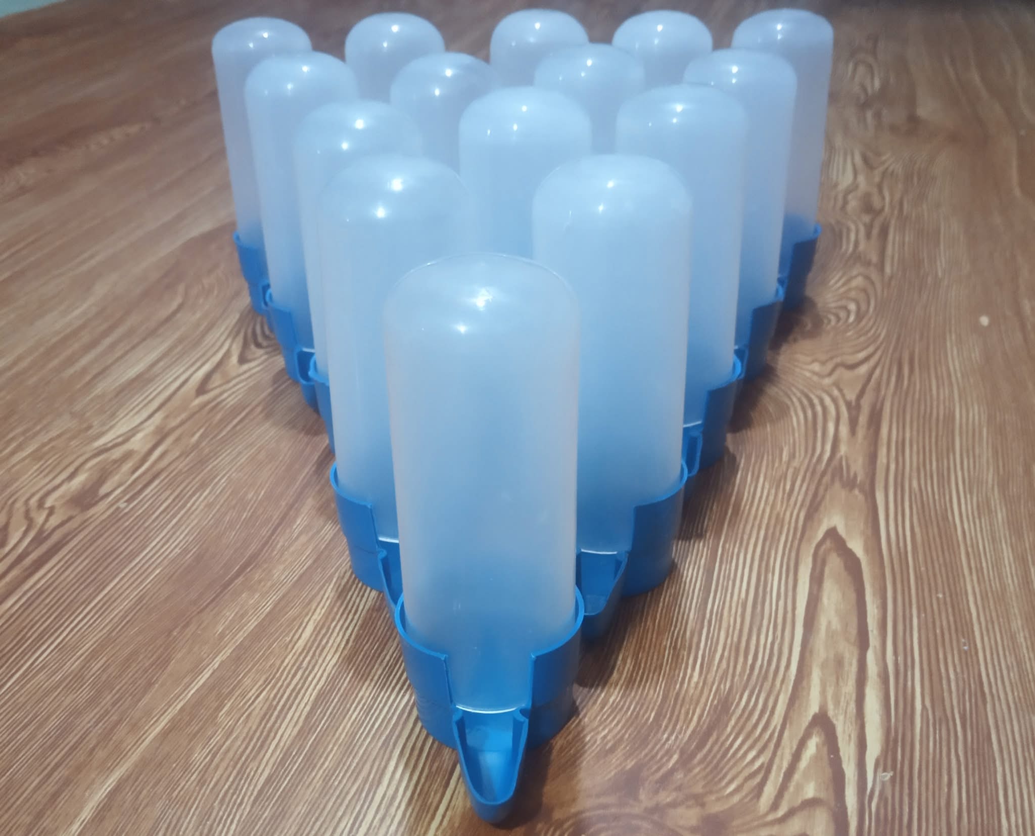 পাখির পানি ফিল্টার বাংলা