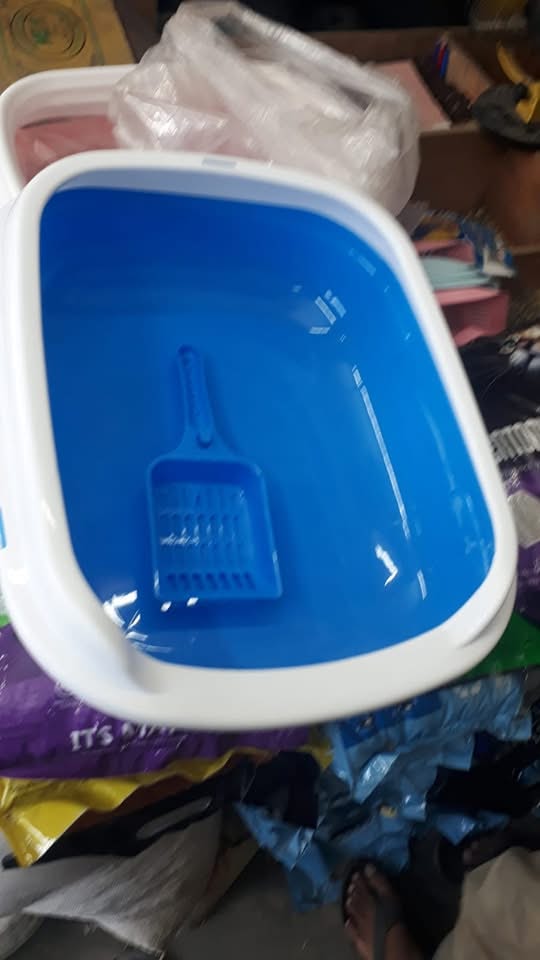 ক্যাট লিটার বক্স