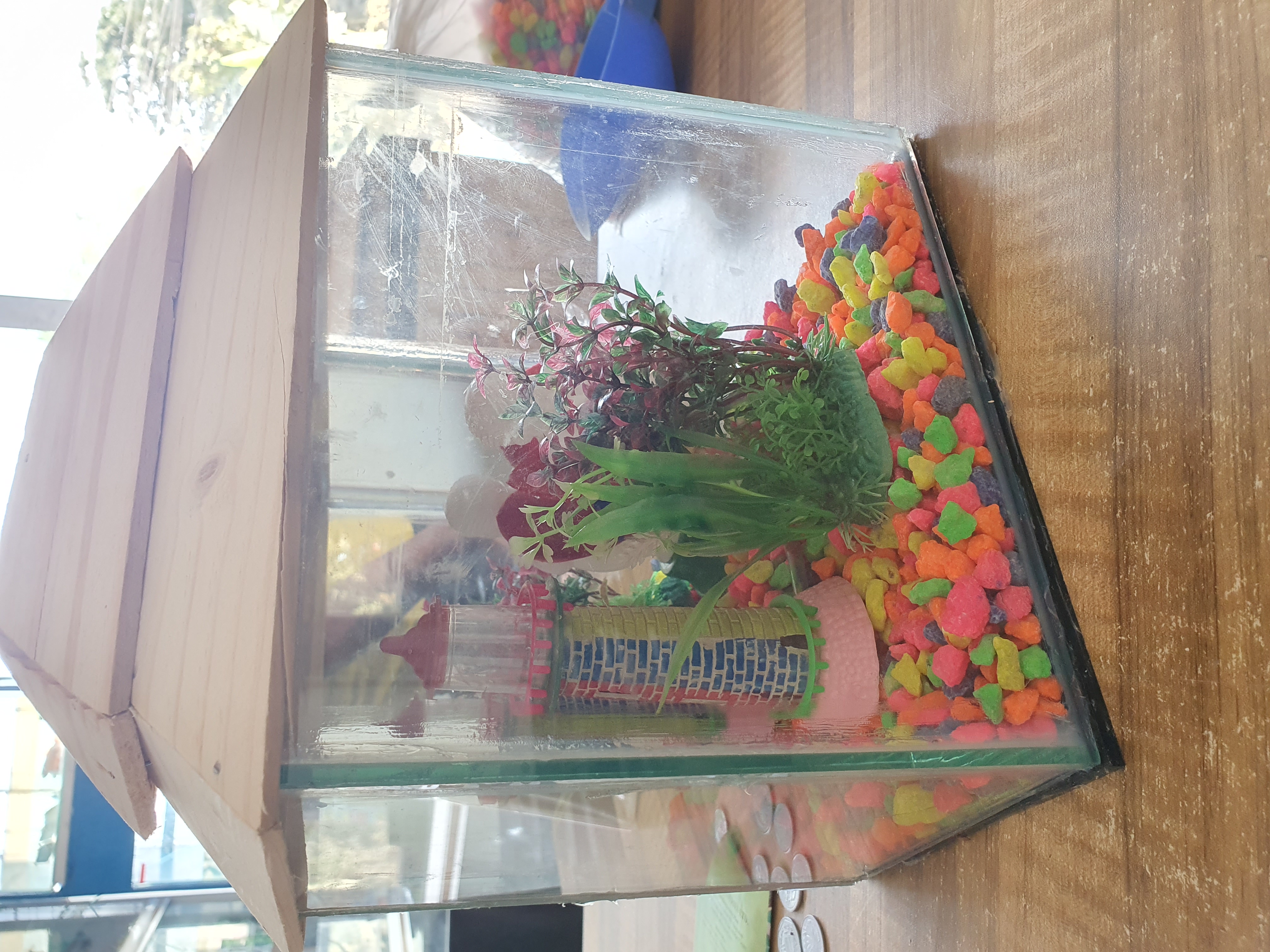 কালার পাথর_img_2