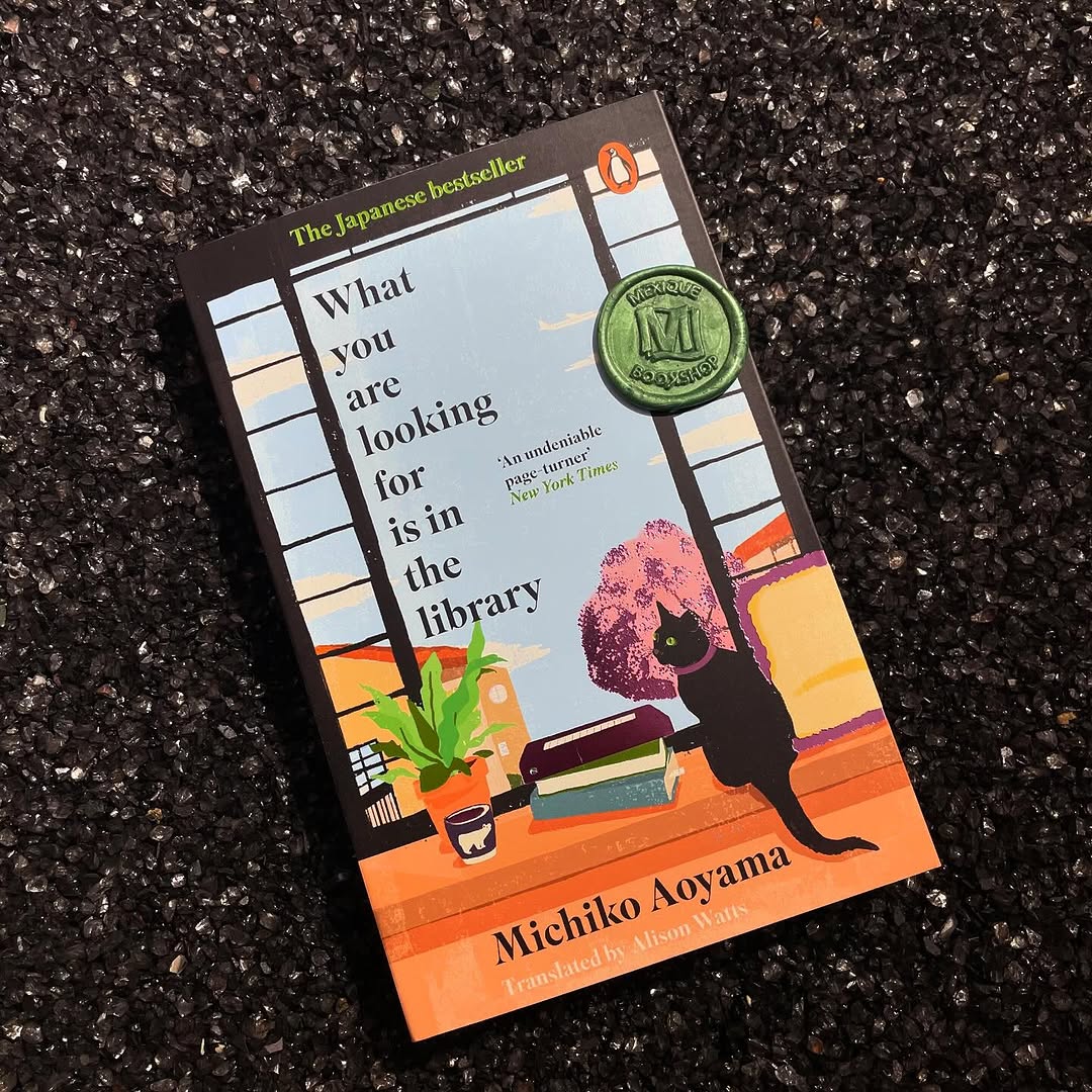 What You Are Looking For Is in the Library By Michiko Aoyama