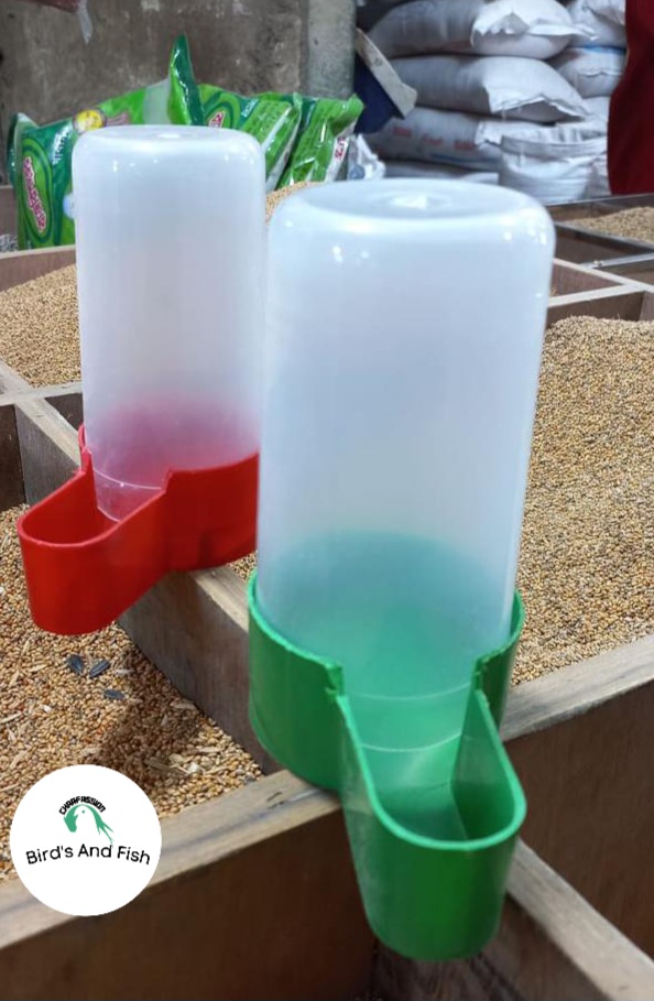 পাখির পানি খাবার গ্লাস_img_1