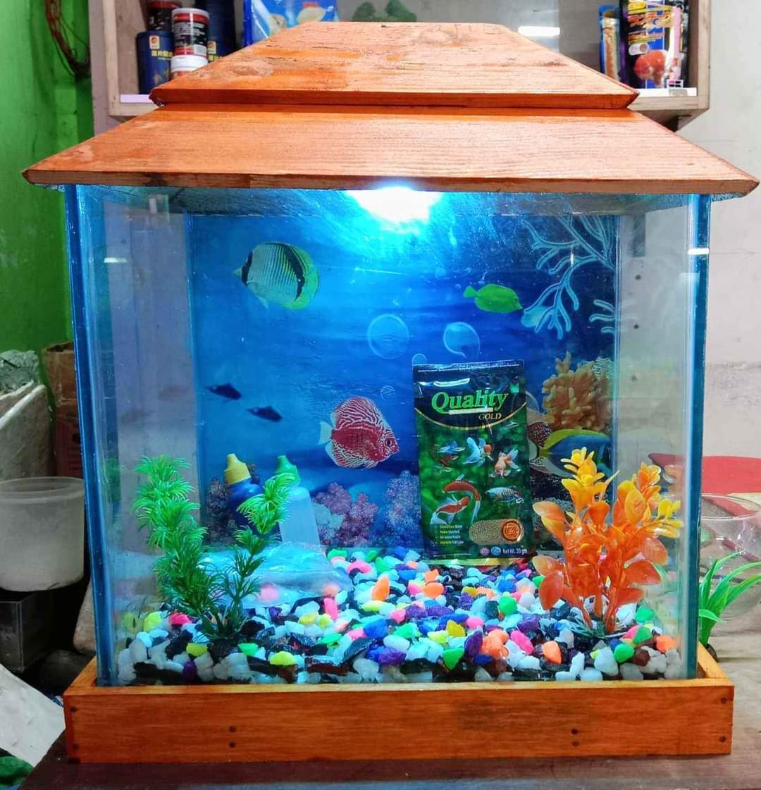 শো একুরিয়াম গ্লাস বক্সের ৮/১২