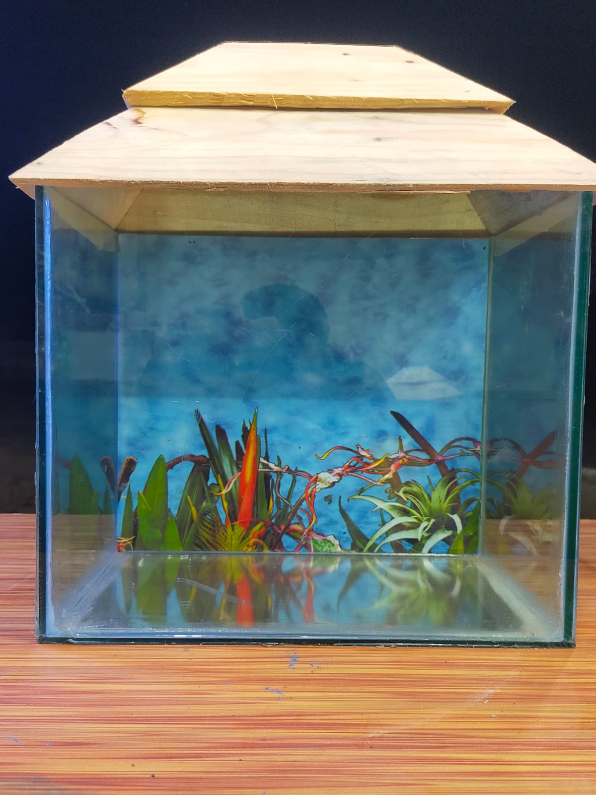 শো একুরিয়াম গ্লাস বক্সের ৮/১২_img_1