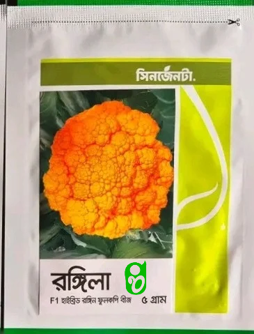 হলুদ কালারের রঙিন ফুলকপি রঙ্গিল। Yellow colored cauliflower rangeela_img_0