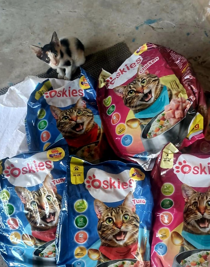 অসকিস চিকেন গ্লেভার এডাল্ট ৩.৫ কেজি_img_3