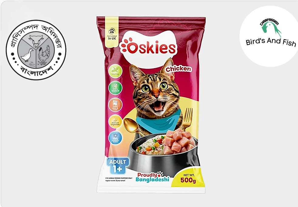 অসকিস চিকেন এডাল্ট ৫০০ গ্রাম