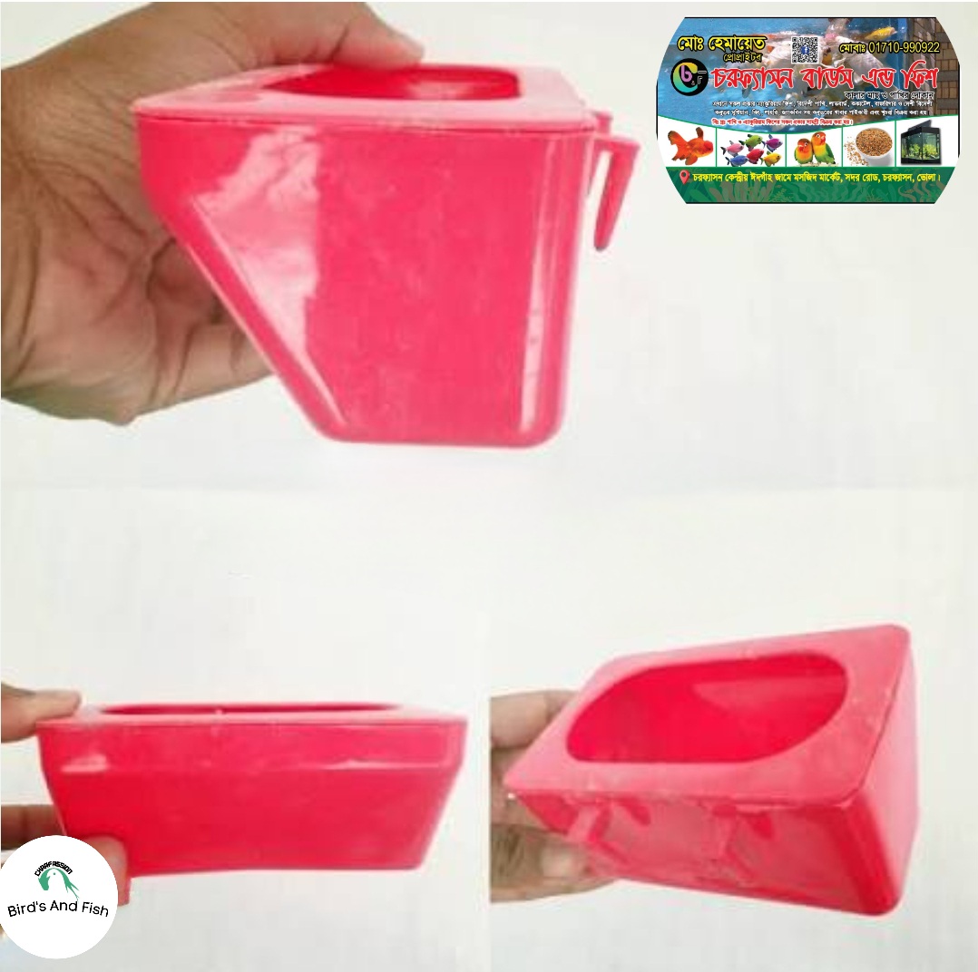 ভেকু বাটি কবুতর_img_1