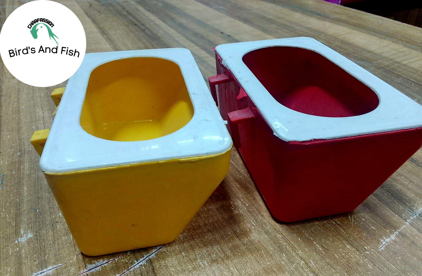 ভেকু বাটি কবুতর_img_2