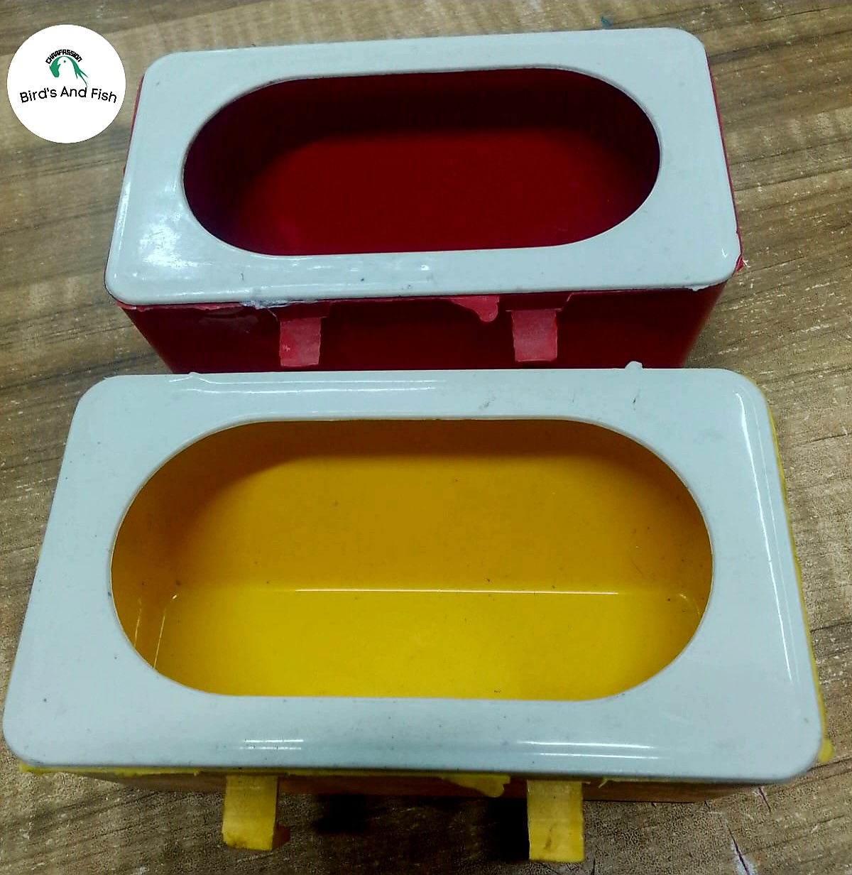 ভেকু বাটি কবুতর_img_3