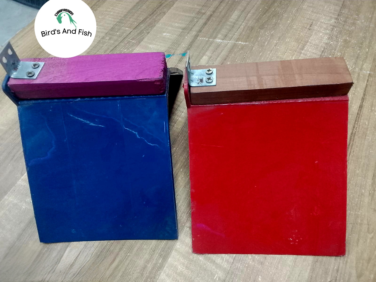 কবুতর দাড়ানোর স্টার্ন কাট সহ